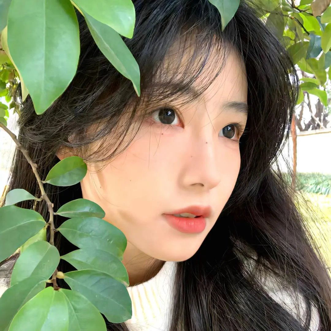 爱情动物